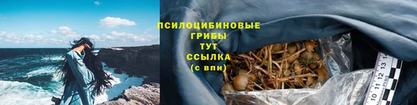 ешки Алзамай