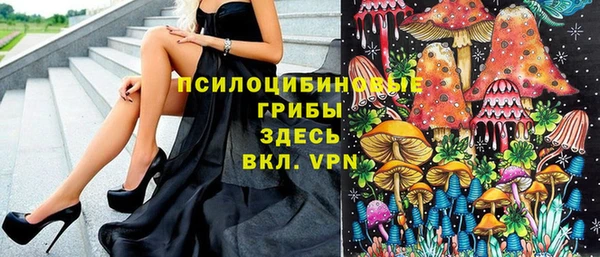 ешки Алзамай