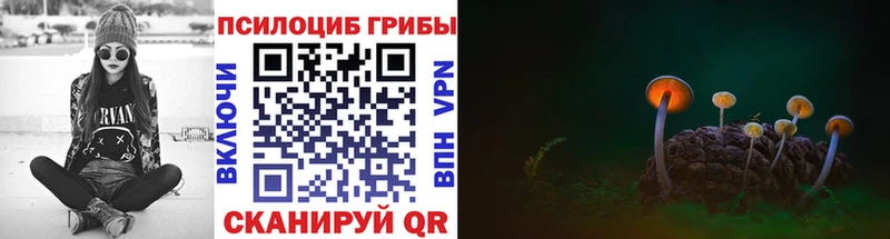 Псилоцибиновые грибы GOLDEN TEACHER  Новосиль 